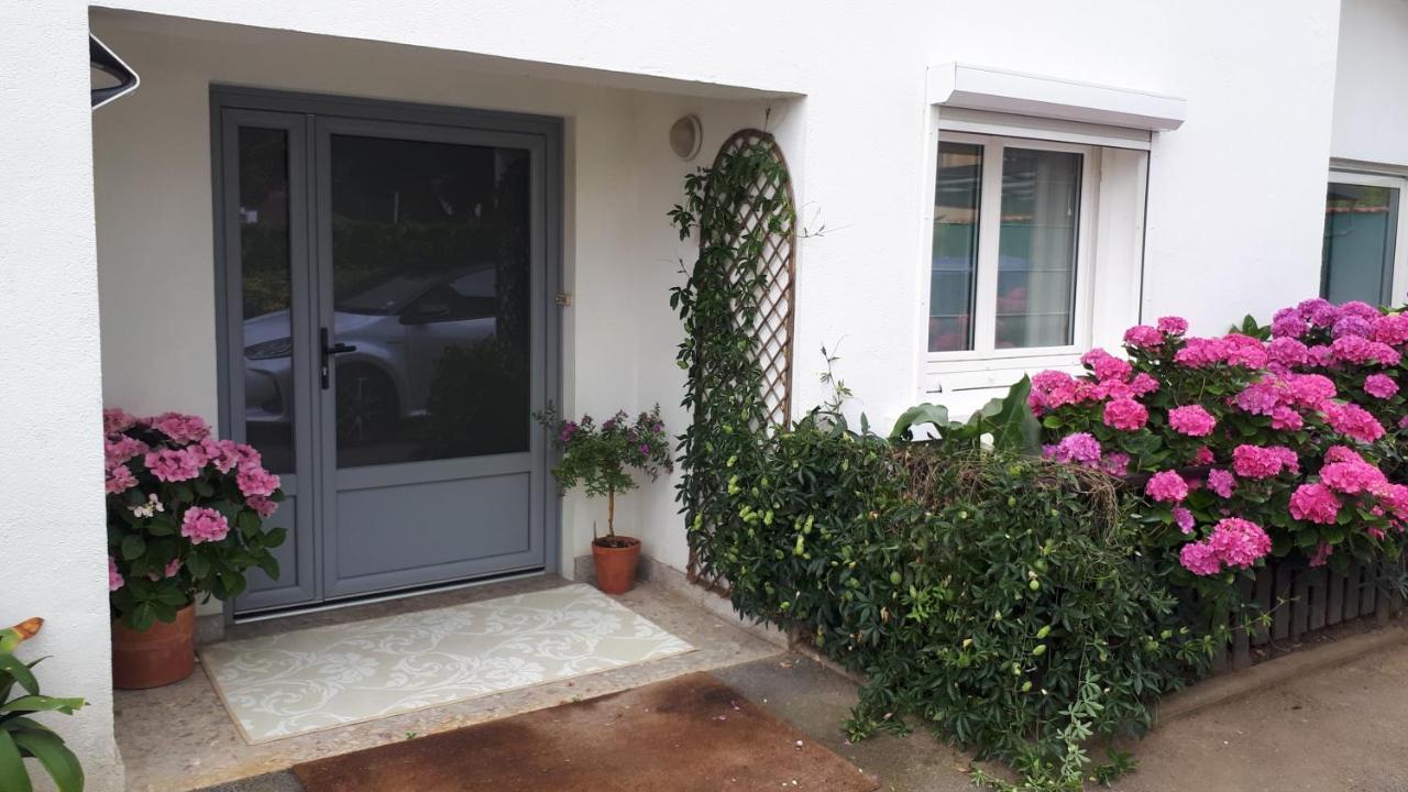 Chambre D'Hotes Les Hortensias Gelos Ngoại thất bức ảnh